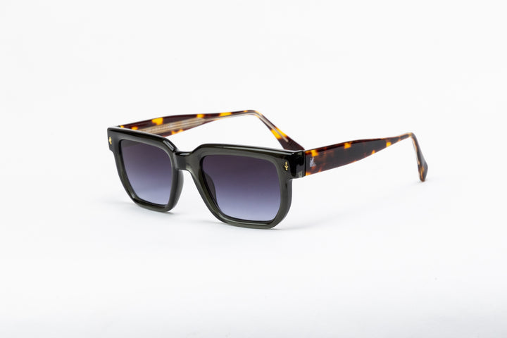 Whisker in Gray Tiger