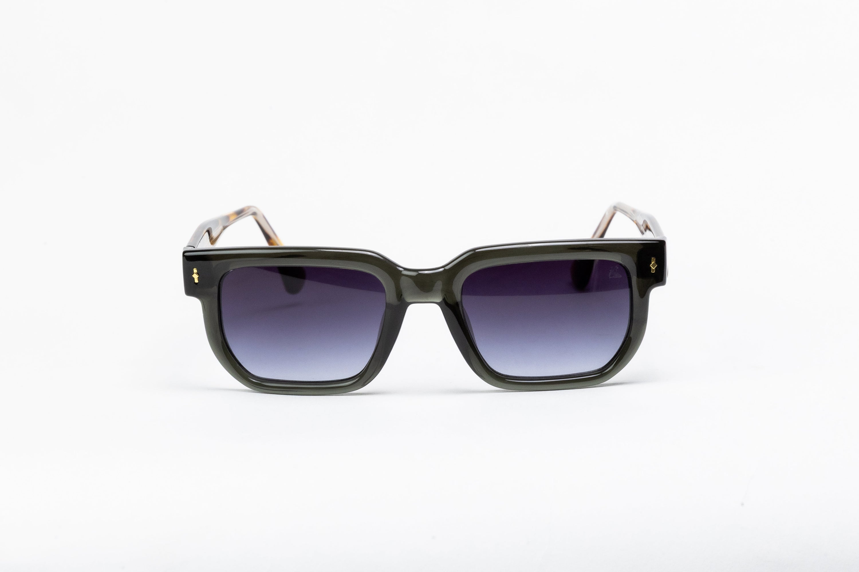 Whisker in Gray Tiger